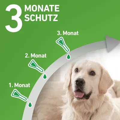 Diagramm zeigt 3 Monate Schutz mit monatlicher Anwendung. Pfeil markiert 1., 2. und 3. Monat mit Tropfen-Symbolen.