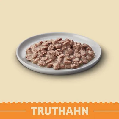 Portion Nassfutter mit Fleischstücken auf weißem Teller, unten im Bild steht groß 'Truthahn'.