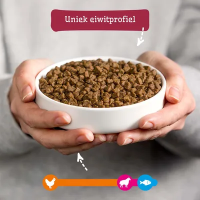 Schaal met droogvoer, Tekst: Uniek eiwitprofiel. Symbolen voor kip, lam en vis op een gekleurde balk eronder. Schaal met droogvoer, Tekst: Uniek eiwitprofiel. Symbolen voor kip, lam en vis op een gekleurde balk eronder.