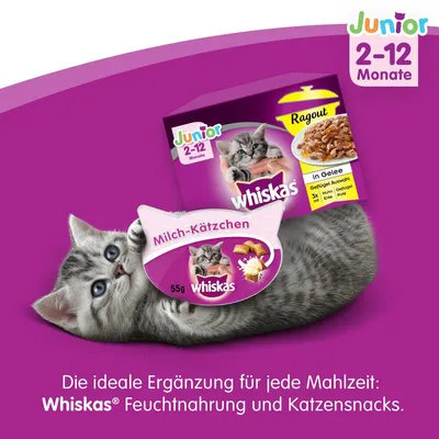 Whiskas Junior 2–12 Monate macskaeledel csomagolás, Milch-Kätzchen 55 g snack, cicával. Felirat: Die ideale Ergänzung für jede Mahlzeit: Whiskas Feuchtnahrung und Katzensnacks.