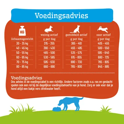 Voedingsschema voor honden: dagelijkse behoefte in gram afhankelijk van lichaamsgewicht en activiteitsniveau. Extra opmerking over het belang van drinkwater en individuele factoren. Voedingsschema voor honden: dagelijkse behoefte in gram afhankelijk van lichaamsgewicht en activiteitsniveau. Extra opmerking over het belang van drinkwater en individuele factoren.