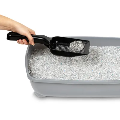 Hand benutzt schwarze Streuschaufel, um Klumpen aus grauer Katzentoilette mit Streu zu entfernen. Zeigt Anwendung der Schaufel zur Reinigung der Toilette.