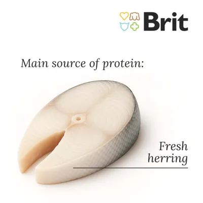 Brit Care Cat Grain-Free Insect Food Allergy Management