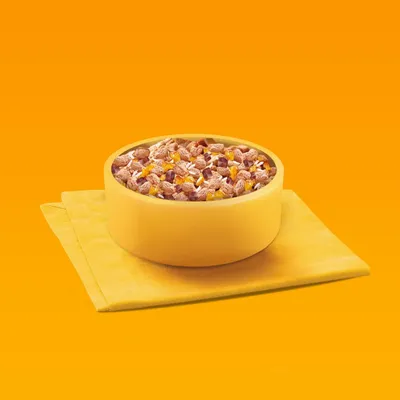 Bowl filled with mixed dry pet food pieces and small chunks, placed on a folded yellow cloth against an orange background.