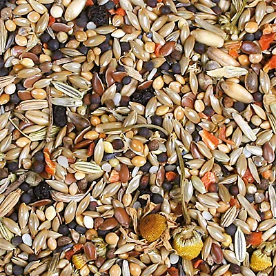 Zbliżenie na różne nasiona, ziarna i suszone części roślin, odpowiednie do karmy dla ptaków.