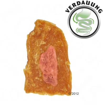 Friandise pour chien avec centre rose, entourée d’une couche brune. Sceau rond avec texte allemand 'VERDAUUNG' et dessin stylisé d’intestin en haut à droite.