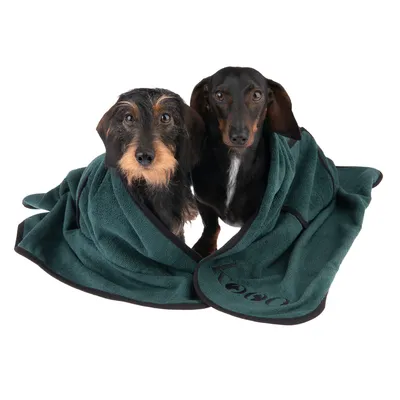 Zwei Hunde in einem grünen Handtuch mit schwarzem Rand und sichtbarem Schriftzug 'kooa'.