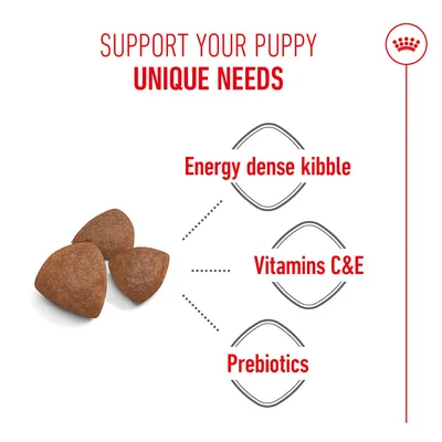 Three kibbles with text: Energy-dense kibble, Vitamins C & E, Prebiotics. Supports the specific needs of puppies.