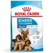 Royal Canin Maxi Starter Mother & Babydog