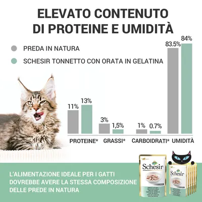 Grafico comparativo: proteine, grassi, carboidrati e umidità in preda naturale vs Schesir Tonnetto con orata in gelatina. Testo: alimentazione ideale per gatti come prede in natura.