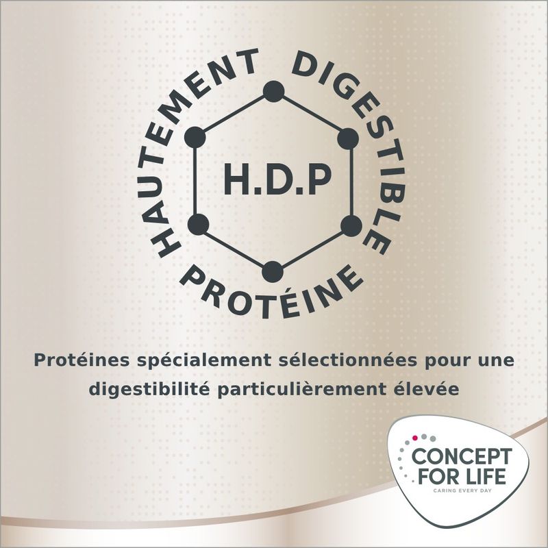 Concept for Life Labrador Sterilised pour chien
