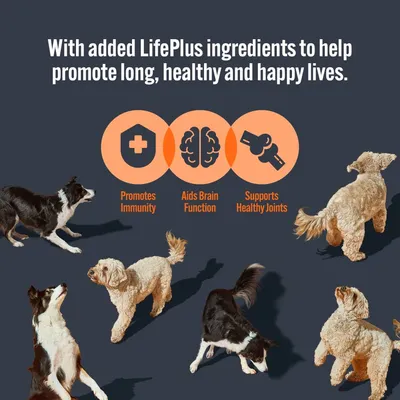 LifePlus ingredients promote immunity, aid brain function, and support healthy joints to help promote long, healthy and happy lives.