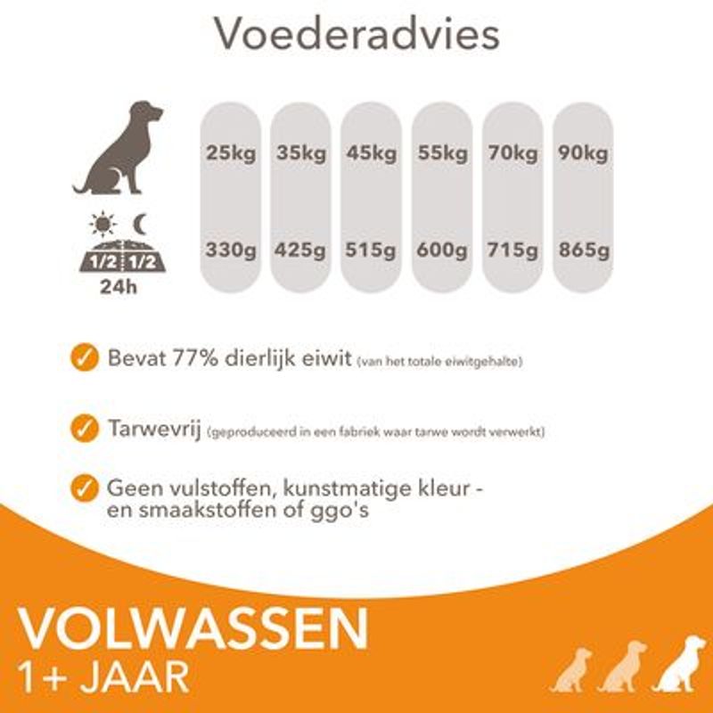 IAMS Advanced Nutrition Adult Large Dog met Kip Hondenvoer