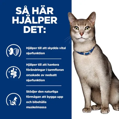 Så här hjälper det: Hjälper till att skydda vital njurfunktion, hantera förändringar i tarmfloran orsakade av nedsatt njurfunktion och stödjer muskelmassa. Bild på katt.