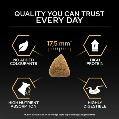 PURINA PRO PLAN Large Robust Adult Everyday Nutrition