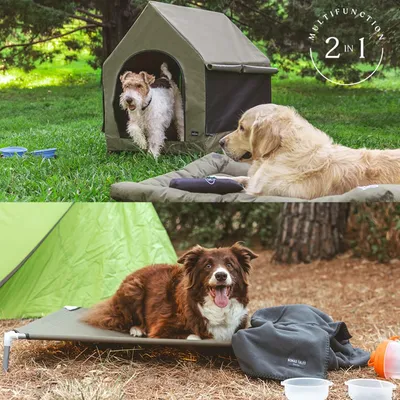 Multifunctionele 2-in-1 honden tent en hondenbed, geschikt voor buitenactiviteiten. Afgebeeld zijn honden in een tent en op een verhoogd bed met accessoires zoals voerbakken.