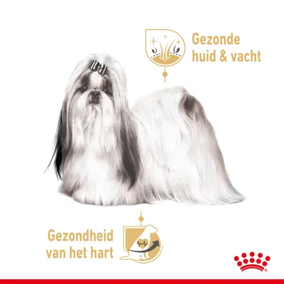 Shih Tzu met tekst: Gezonde huid & vacht, Gezondheid van het hart. Royal Canin kroon symbool rechtsonder zichtbaar.
