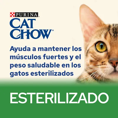PURINA CAT CHOW. Ayuda a mantener los músculos fuertes y el peso saludable en los gatos esterilizados. ESTERILIZADO. Text in Spanish.
