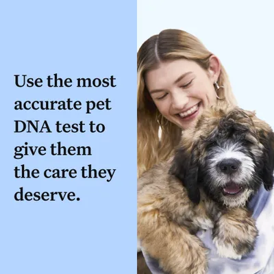 Use the most accurate pet DNA test to give them the care they deserve.