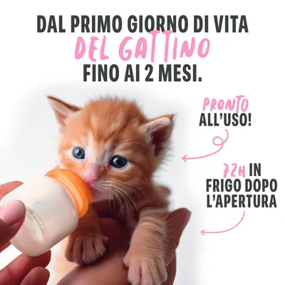 Adatto dal primo giorno di vita fino a 2 mesi. Pronto all'uso immediato. Dopo l'apertura, si conserva in frigorifero per 72 ore. Adatto dal primo giorno di vita fino a 2 mesi. Pronto all'uso immediato. Dopo l'apertura, si conserva in frigorifero per 72 ore.
