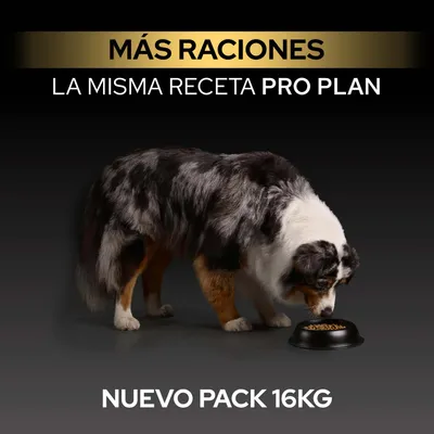 PURINA PRO PLAN Medium Adult Sensitive Skin - 16 kg PURINA PRO PLAN Medium Adult Sensitive Skin - 16 kg
