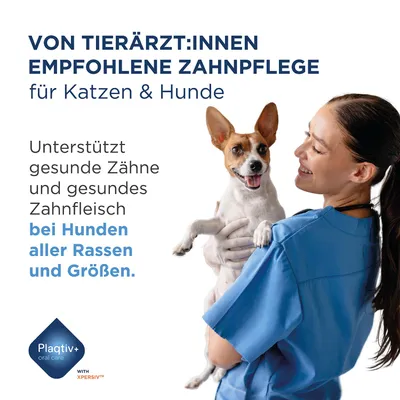 Von Tierärzt:innen empfohlene Zahnpflege für Katzen und Hunde. Unterstützt gesunde Zähne und Zahnfleisch bei Hunden aller Rassen und Größen. Plaqtiv+ oral care. Von Tierärzt:innen empfohlene Zahnpflege für Katzen und Hunde. Unterstützt gesunde Zähne und Zahnfleisch bei Hunden aller Rassen und Größen. Plaqtiv+ oral care.