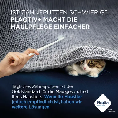 Ist Zähneputzen schwierig? Plaqtiv+ macht die Maulpflege einfacher. Tägliches Zähneputzen ist der Goldstandard für die Maulgesundheit Ihres Haustiers. Weitere Lösungen verfügbar. Ist Zähneputzen schwierig? Plaqtiv+ macht die Maulpflege einfacher. Tägliches Zähneputzen ist der Goldstandard für die Maulgesundheit Ihres Haustiers. Weitere Lösungen verfügbar.