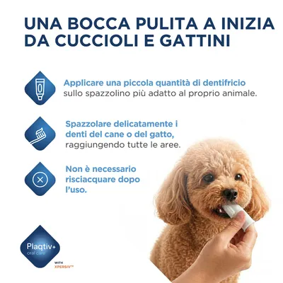 Istruzioni: Applicare una piccola quantità di dentifricio sull'apposito spazzolino, pulire delicatamente i denti del cane o del gatto, raggiungere tutte le aree, non è necessario risciacquare dopo l'uso. Istruzioni: Applicare una piccola quantità di dentifricio sull'apposito spazzolino, pulire delicatamente i denti del cane o del gatto, raggiungere tutte le aree, non è necessario risciacquare dopo l'uso.