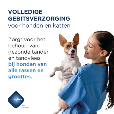 Volledige gebitsverzorging voor honden en katten. Zorgt voor gezonde tanden en tandvlees bij honden van alle rassen en maten. Plaqtiv+ mondverzorging met XPERSIV. Volledige gebitsverzorging voor honden en katten. Zorgt voor gezonde tanden en tandvlees bij honden van alle rassen en maten. Plaqtiv+ mondverzorging met XPERSIV.