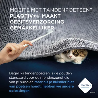 Plaqtiv+ maakt gebitsverzorging eenvoudiger. Voor huisdieren die niet van tandenpoetsen houden, biedt Plaqtiv+ alternatieve oplossingen voor mondverzorging. Plaqtiv+ maakt gebitsverzorging eenvoudiger. Voor huisdieren die niet van tandenpoetsen houden, biedt Plaqtiv+ alternatieve oplossingen voor mondverzorging.