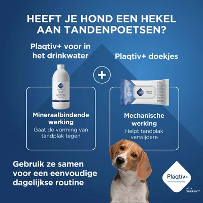 Plaqtiv+ voor drinkwater en Plaqtiv+ Dental Wipes. Mineralbindende werking tegen tandplak, mechanische werking voor verwijdering. Voor een eenvoudige dagelijkse mondverzorgingsroutine.