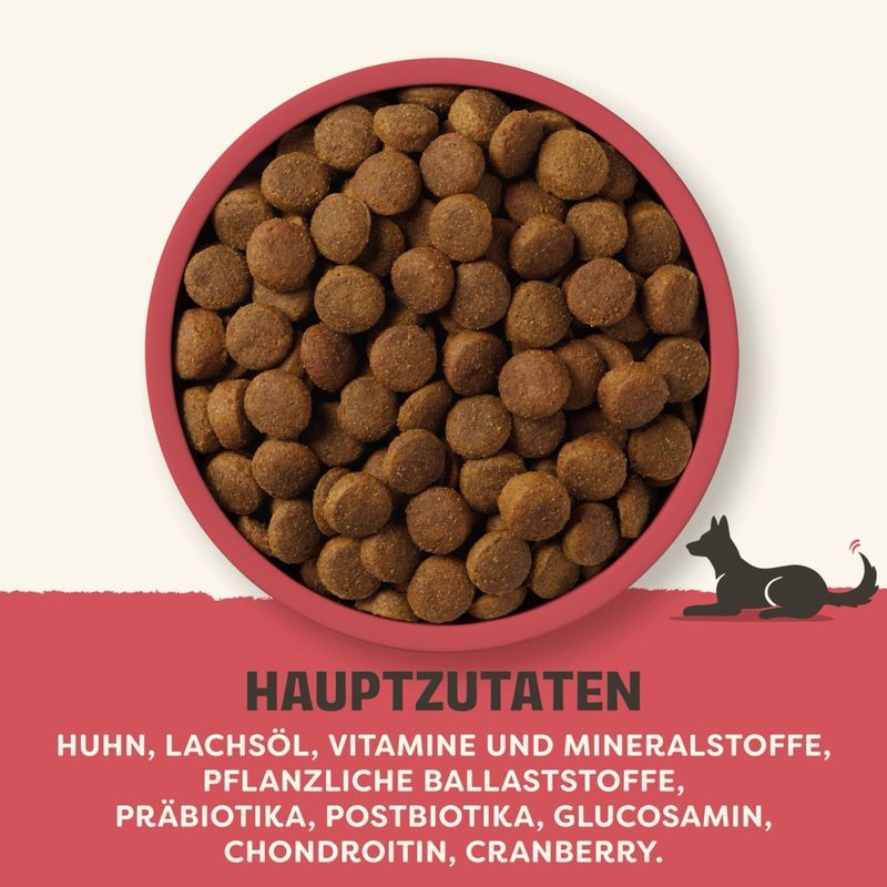 Applaws Adult Huhn Große Rassen