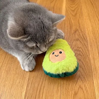 Aumüller kattenspeelkussen Avocado - 1 stuk