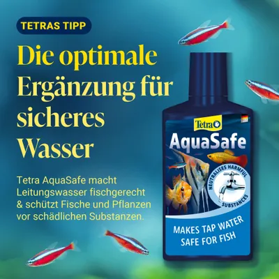 Tetra AquaSafe: Die optimale Ergänzung für sicheres Wasser. Macht Leitungswasser fischgerecht und schützt Fische und Pflanzen vor schädlichen Substanzen. Tetra AquaSafe: Die optimale Ergänzung für sicheres Wasser. Macht Leitungswasser fischgerecht und schützt Fische und Pflanzen vor schädlichen Substanzen.