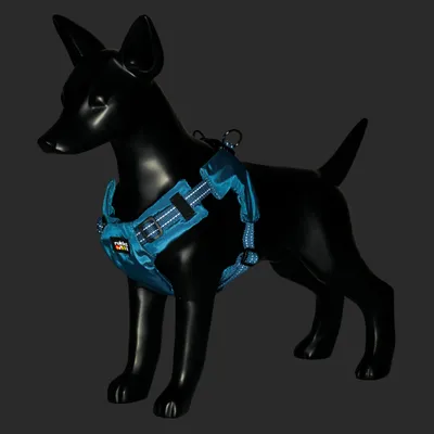 Rukka Hundegeschirr Puff Mini - Größe S: 35 - 45 cm Brustumfang, petrolblau Rukka Hundegeschirr Puff Mini - Größe S: 35 - 45 cm Brustumfang, petrolblau