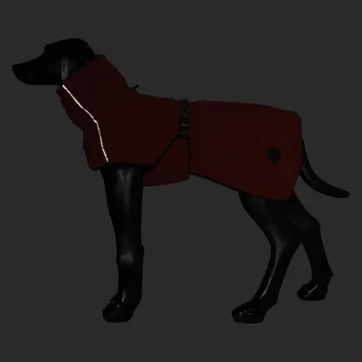 Une figurine de chien noire porte un manteau rouge foncé avec une bande réfléchissante et une fermeture à boucle. Une figurine de chien noire porte un manteau rouge foncé avec une bande réfléchissante et une fermeture à boucle.