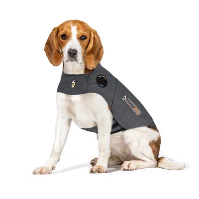 Dog wearing grey ThunderShirt with visible ThunderShirt and patch logos on side and neck. Fabric material clearly shown. No other accessories or text visible.