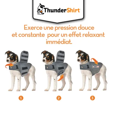 ThunderShirt – Exerce une pression douce et constante pour un effet relaxant immédiat. Trois étapes illustrées d’un chien portant la veste ThunderShirt grise.