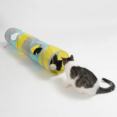 Spielzeug-Tunnel aus gelbem und blauem Stoff mit Öffnungen, darin eine schwarze Katze. Weisse Katze beobachtet den Tunnel von aussen. Hängender Ball im Inneren des Tunnels sichtbar.