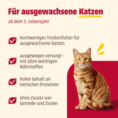 animonda Carny Adult Huhn + Rind animonda Carny Adult Huhn + Rind