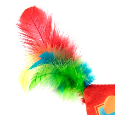 Jouet pour chat avec plumes multicolores rouges, vertes, bleues et jaunes fixées sur un coussin en tissu rouge. Les matériaux visibles sont tissu et plumes.