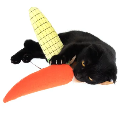 Gatto nero che gioca con un gioco di stoffa a forma di carota e pannocchia di mais.
