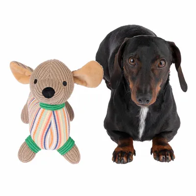 Hond naast een pluchen speelgoedmuis met gestreept lichaam en groene accenten.