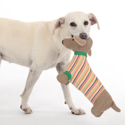 Hond houdt een gestreept hondenspeelgoed van stof in de bek. Speelgoed in de vorm van een hond met gekleurde strepen en groene accenten.
