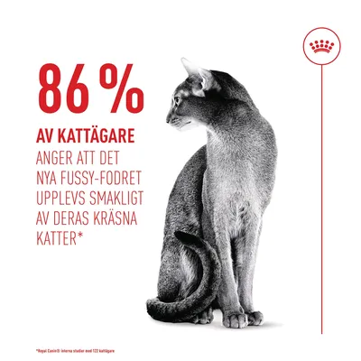 Royal Canin Fussy Exigent