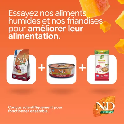 N&D Pumpkin croquettes, aliments humides et snacks. Développés scientifiquement pour améliorer ensemble l’alimentation. N&D Pumpkin croquettes, aliments humides et snacks. Développés scientifiquement pour améliorer ensemble l’alimentation.