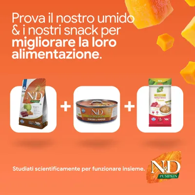 N&D Pumpkin crocchette, alimento umido Venison & Pumpkin e snack adult. Sviluppato per migliorare l'alimentazione. Progettato scientificamente per un effetto sinergico. N&D Pumpkin crocchette, alimento umido Venison & Pumpkin e snack adult. Sviluppato per migliorare l'alimentazione. Progettato scientificamente per un effetto sinergico.