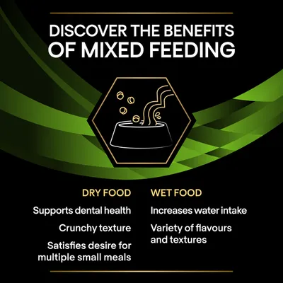 Benefits of mixed feeding: dry food supports dental health, has crunchy texture, satisfies desire for multiple small meals; wet food increases water intake, offers variety of flavours and textures.
