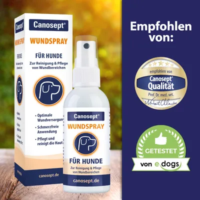 Canosept Wundspray für Hunde, sebgyógyító spray kutyáknak dobozban. Felirat: Empfohlen von Canosept Qualität Prof. Dr. med. vet., Getestet von edogs.