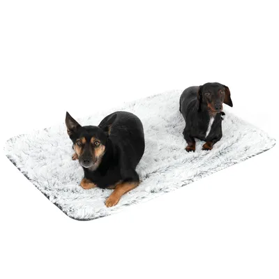 Zwei Hunde liegen auf einer weissen, flauschigen Tiermatte. Produkt zeigt Komfort und Nutzung der Matte.